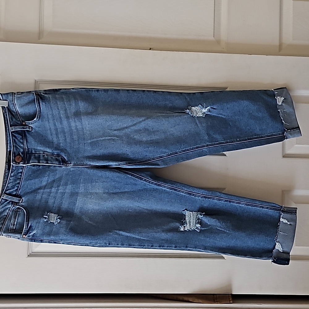 1822 Distressed Vintage Ankle Denim, NWOT, 12P/31P